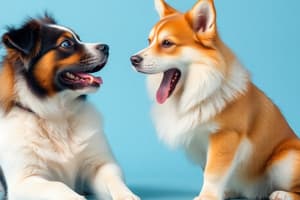 Classical Conditioning Overview