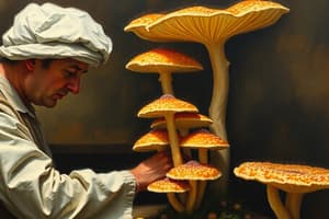 Mycological Laboratory Procedures