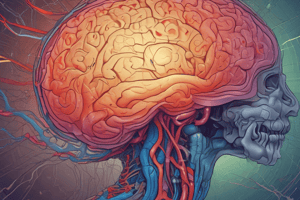 Neurology Lab II: Brain Functions and Systems