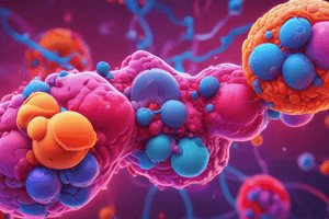 Hormones Classification Based on Chemical Nature