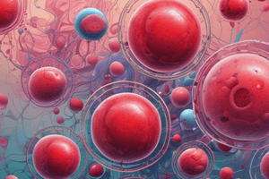 Cell Lines Derived from Haematopoiesis