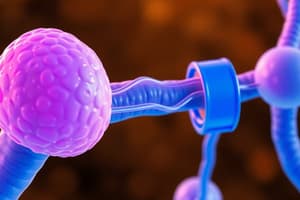 Hormones and their Signaling Pathways