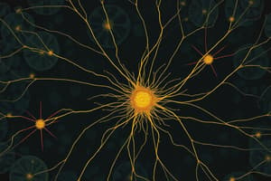 Cytoskeleton in Eukaryotic Cells