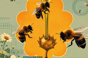 Honey Production and Pollination