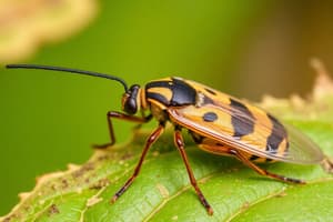 Agricultural Pests and Their Impact