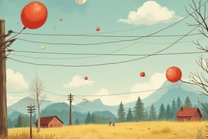 Magnetism: Forces, Poles, and Types of Magnets