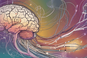 Neuronal signalling 2