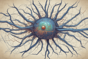 Pathophysiology of Synaptic Transmission