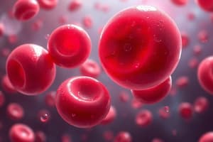 Erythrocytes and Anemia Overview