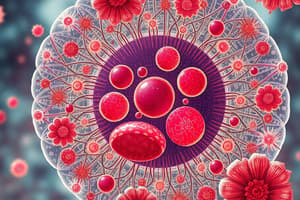 Cell Biology Quiz: Organelles and Functions