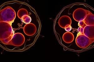 Cell Biology - Mitosis, Meiosis & Cell Cycle