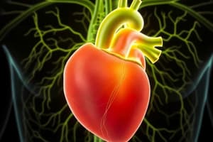 Cardiac Conduction System