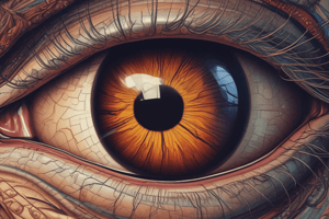 Vision Elements of the Eye: The Pupil