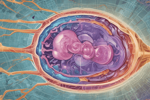 Radiology: Magnification Imaging