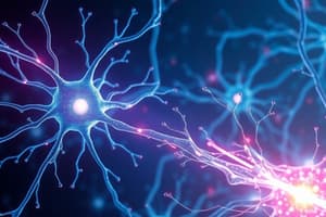 Nervous System: Neurons, Potential, Synapses