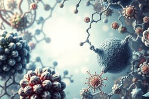 Enzymes and Enzyme Kinetics Overview