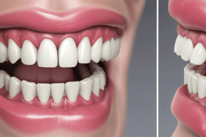 Dental Anatomy Lecture 5: Maxillary Lateral Incisor