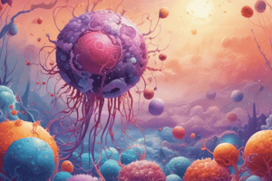 B Cell Development: Key Concepts