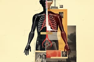 Autonomic Nervous System Quiz