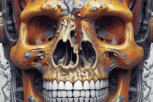 CT Image Quality and Noise in Computed Tomography