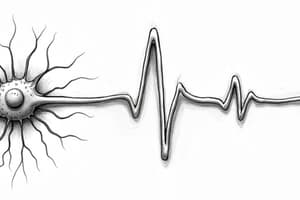 Resting Membrane Potential and Nerve Action Potential