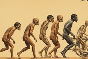 Early Hominins and Human Evolution