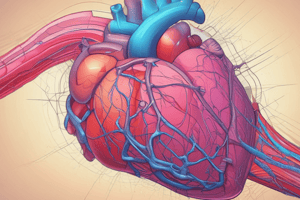 Cardiac Muscle Physiology