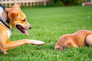 Dog Management and Behavior Course