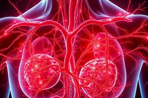 3.4. Blood Vessels: Arteries, Veins, and Capillaries