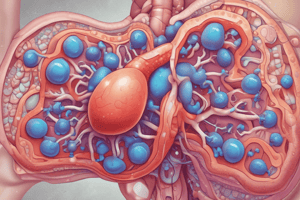 Benign prostatic hyperplasia