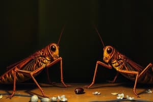 Mole Cricket Communication & Vocalizations