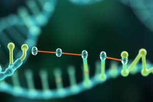 DNA Synthesis Basics