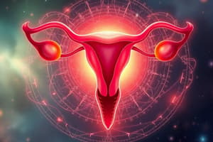 Female Reproductive System Quiz