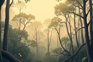 Forest Formation in the Philippines