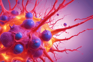 Pathology inflammatory processes