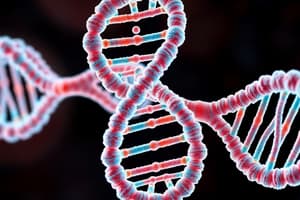 Gene Mutation and DNA Repair Quiz