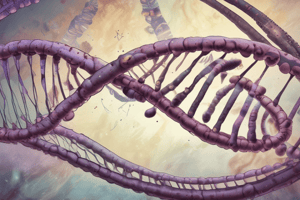 Genetics and Chromosomal Abnormalities Quiz