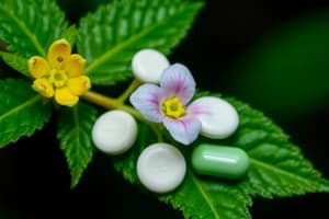 Plant-Based Drugs Quiz