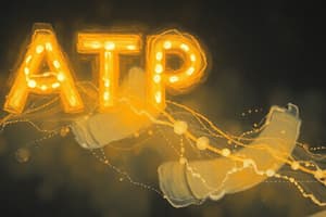 Energy and Metabolism: ATP and Catabolic Processes