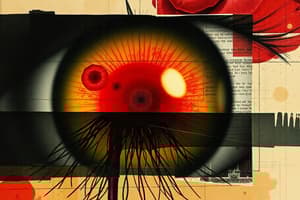 Chemical Eye Injuries and Healing