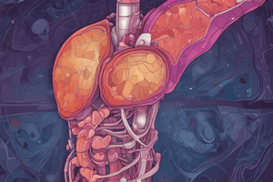 Pancreas Imaging and Laboratory Values