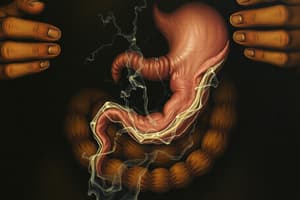 Digestive Processes Quiz