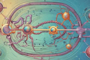 Cell-Cycle Control System and SCF Ubiquitin Ligase Quiz