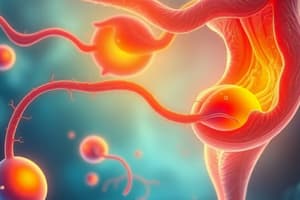 Gamétogenèse et Spermatogenèse