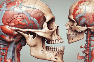 Medical Terminologies and Health Assessment Quiz