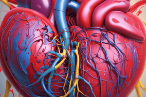 Assessment of Carotid Intima-Media Thickness in Hypertensive Children Quiz