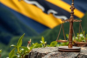 Legal Concepts in Papua New Guinea Constitution