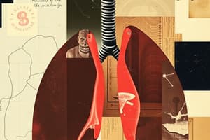 Lung Volumes and Capacities