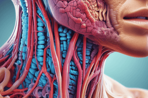 Respiratory System Parts and Functions Quiz