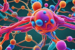 Phosphorylation and Cellular Work